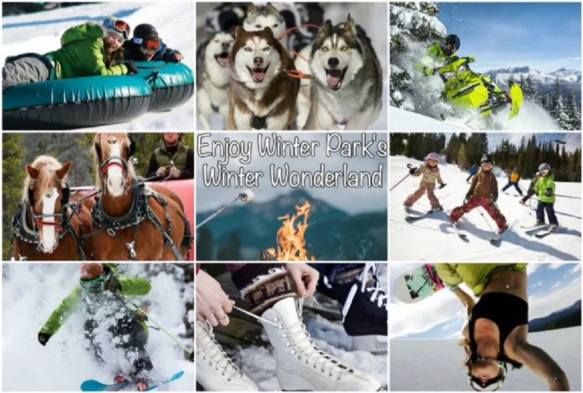 A lively collage of winter activities, including people tubing, skiing, snowboarding, dog sledding, and cozying up by a fire. The image conveys the diversity of snow-filled family fun and energetic group experiences available in the area.