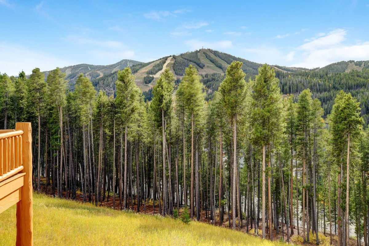 A sweeping exterior view of the Rocky Mountain landscape, with towering pine trees, mountain slopes, and a clear blue sky. The natural setting evokes the adventure base and pristine environment described in the content.